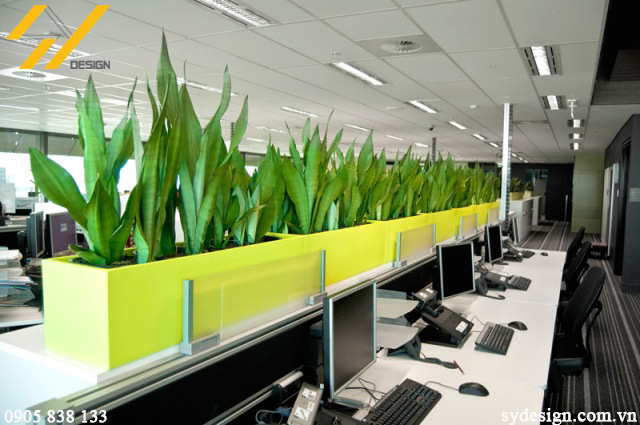 thiet-ke-van-phong-xanh